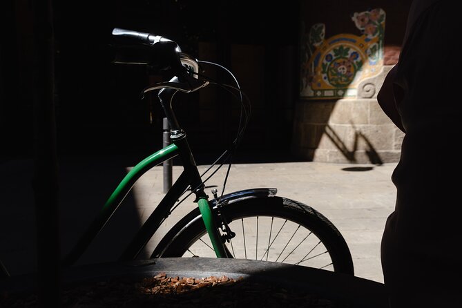 3-Hour Private Gaudi Bike Tour - Weather, timing, and who should book this