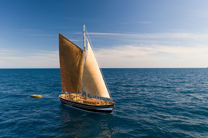 8-Hour Whale Watching in Barcelona - Meet at Mar a la Vista: The 9:00 am Start You’ll Appreciate