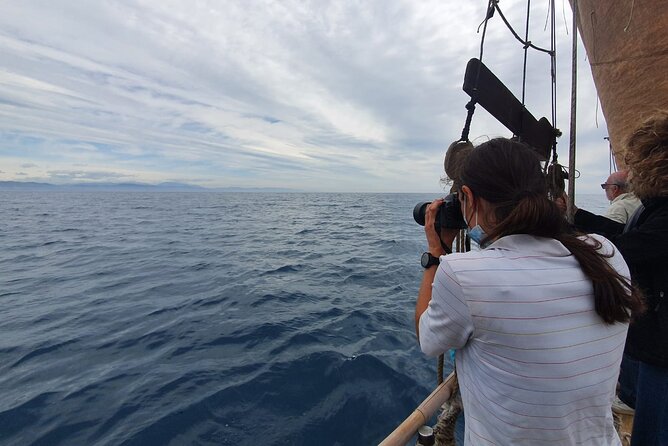 8-Hour Whale Watching in Barcelona - Out to the Open Sea: What the Marine Biologist Does on Board