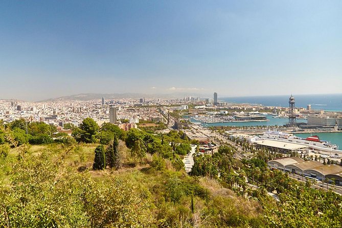 8 hours Barcelona Highlights Private tour - Price Per Group: When This Private Tour Feels Like A Bargain