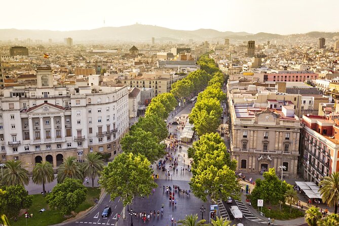 Arrival Transfer from Barcelona Airport BCN to Barcelona in Private Car/Van - Operating Hours and a 24-Hour-Style Availability