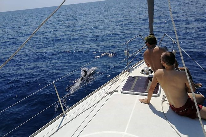 Authentic Barcelona Sailing Tour with Swim & Drinks - The Route: From Moll de Mestral to the Ports and Pont del Petroli