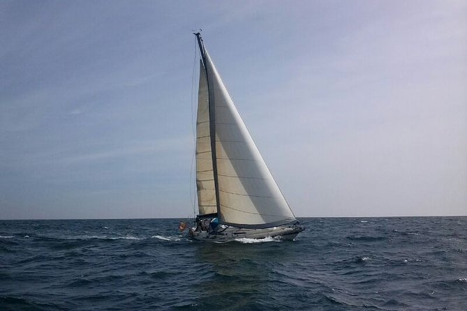 Authentic Barcelona Sailing Tour with Swim & Drinks - The Skipper Factor: Miquel and Michael, and Why It Matters