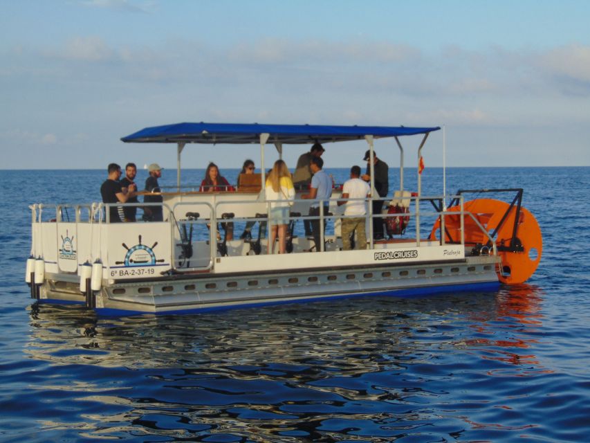 Barcelona: 1.5-Hour Private Scenic Pedal Boat Tour - Departing Olympic Port: that first 10 minutes out of the harbor