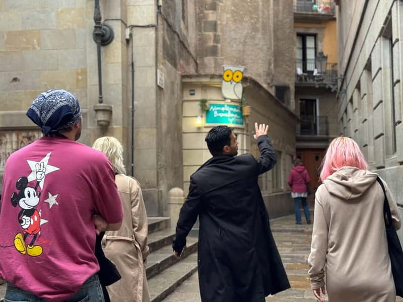 Barcelona: 1 Hour Gothic Quarter and El Born Walking Tour - Starting at Plaça de Catalunya: Easy Entry Into the Old City