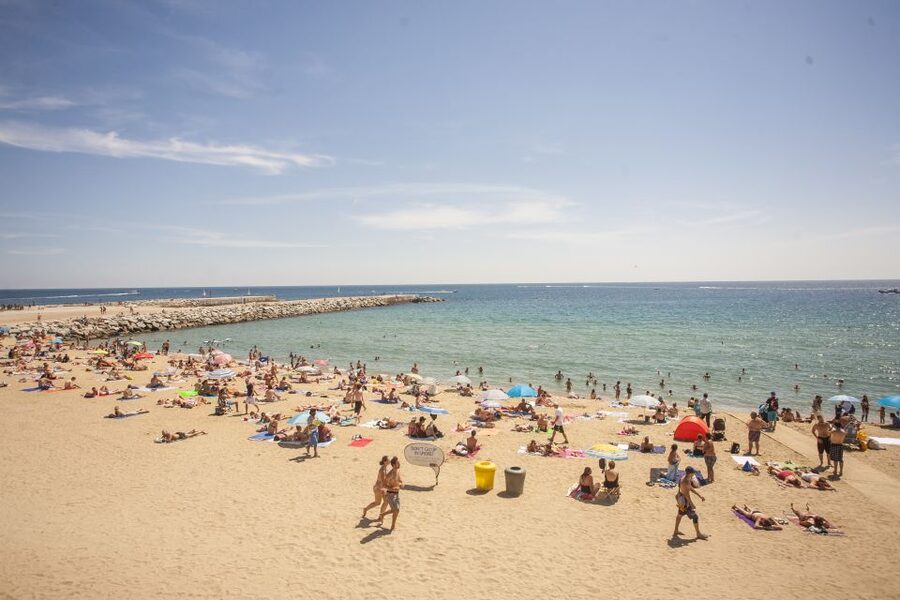 Barcelona: 2-Hour City Sights Guided Segway Tour - Parc de la Ciutadella and Arc de Triomf: A Park Stop With Purpose