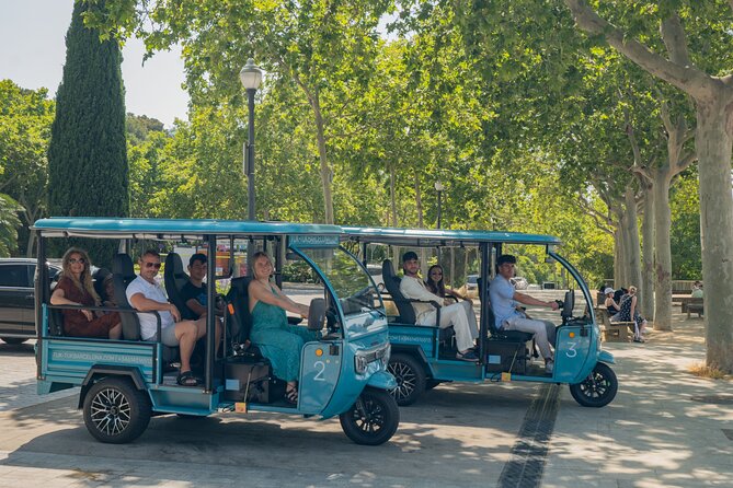 Barcelona 2 Hours Private Tuk-Tuk Tour - Montjuïc in 10 Minutes: Panoramas Without the Time Sink