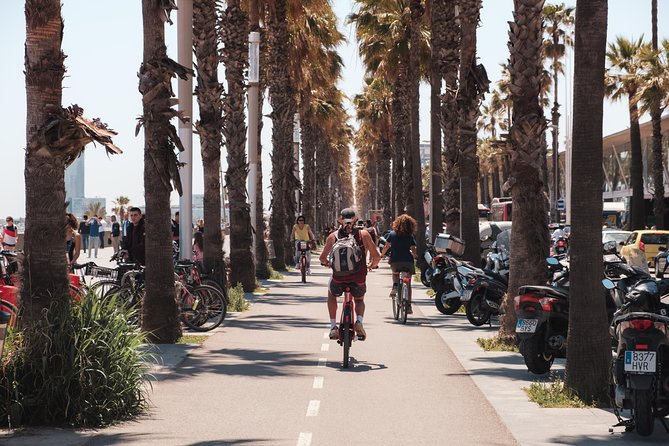Barcelona 3-hour Bike or E-Bike Tour: Highlights and Hidden Gems - Placa del Rei and the cathedral stop you will actually remember
