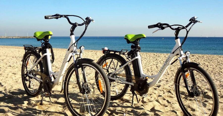 Barcelona 3 Hour Daily Electric Bike Tour - The guide quality is the whole point