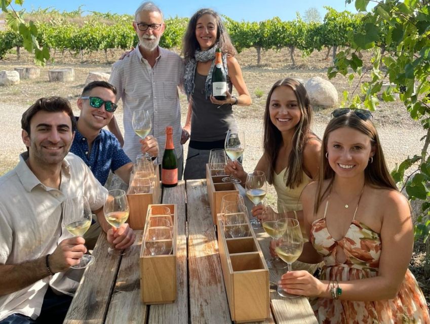 Barcelona: 3 Penedes Wineries with Hotel Pick-up and Lunch - Key highlights worth getting excited about