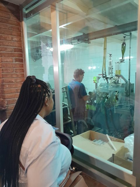 Barcelona: 3 Penedes Wineries with Hotel Pick-up and Lunch - Stop 1: A biodynamic winery lesson on cava’s champagnoise method