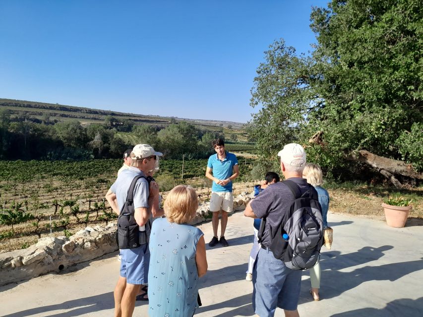 Barcelona: 3 Penedes Wineries with Hotel Pick-up and Lunch - Stop 3: Long-aged cava tasting with chocolate, Catalan biscuits, and Marta’s commentary
