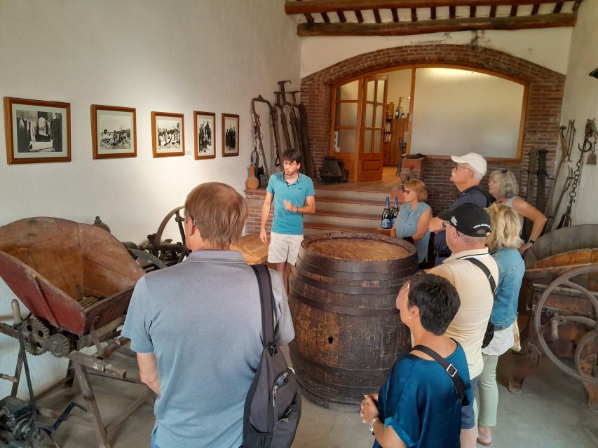 Barcelona: 3 Penedes Wineries with Hotel Pick-up and Lunch - The tasting count and why the structure matters