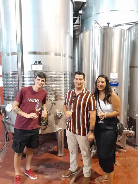 Barcelona: 3 Penedes Wineries with Hotel Pick-up and Lunch - Who should book this Penedes day trip, and who should skip it
