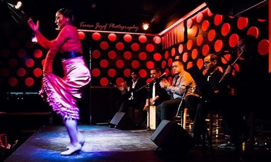 Barcelona: 4-Hour Tapas Evening Tour and Flamenco Show - Who should book this evening, and who might pass