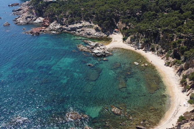 Barcelona Adventure: Costa Brava Hike & Snorkel - The hiking rhythm on Camino de Ronda: cliff views and pine air