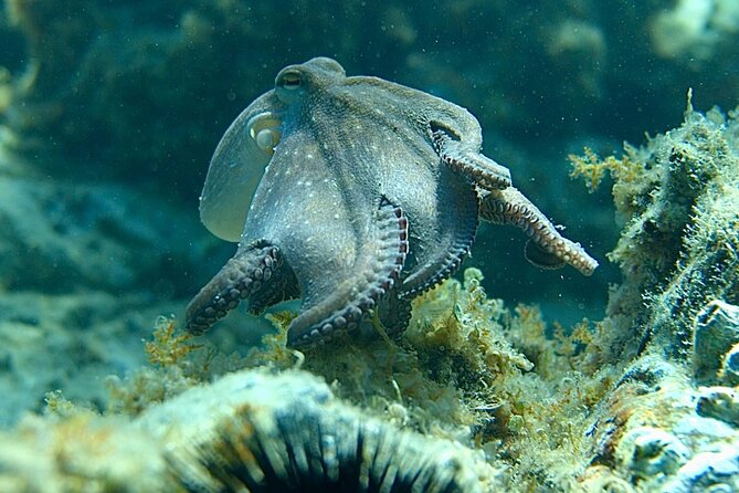 Barcelona Adventure: Costa Brava Hike & Snorkel - What to bring for comfort on a coastal day