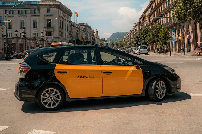 Barcelona Airport Transfer (Private): Arrival or Departure - Meet and greet at El Prat, what to do when baggage takes forever