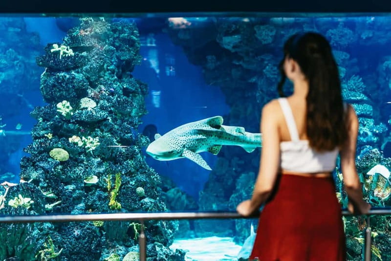 Barcelona Aquarium: Entry Ticket - Aquariums by habitat: Mediterranean stars, tropical life, and mangroves