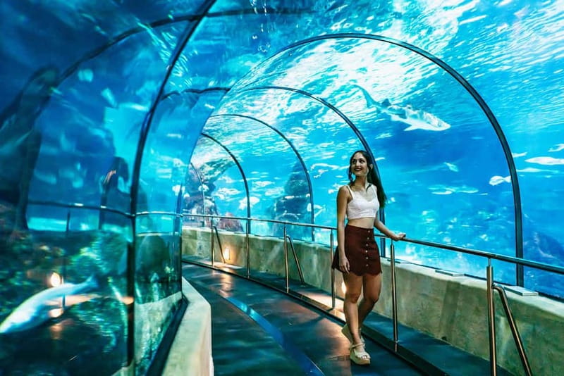 Barcelona Aquarium: Entry Ticket - Journey to the Depths and the SubAqua Explorer: a modern way to learn