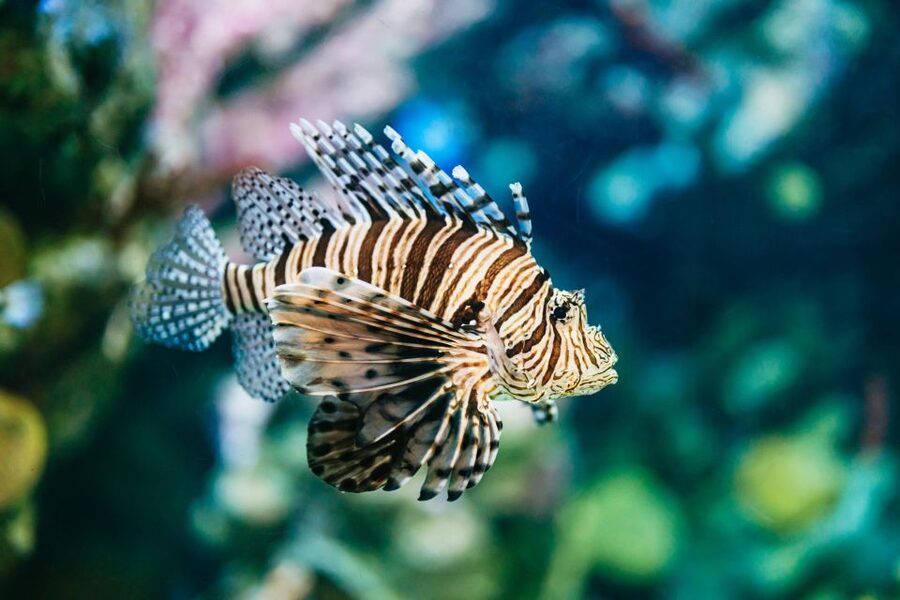 Barcelona Aquarium: Entry Ticket - Planeta Aqua: five senses, water education, and hands-on play