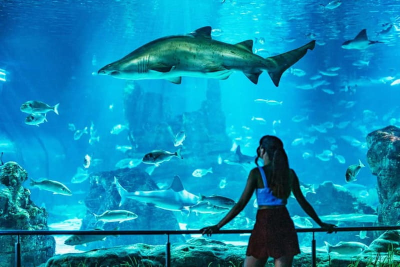 Barcelona Aquarium: Entry Ticket - Interactive learning stops: Aqua Protectors, SOS Oceans, and mangrove games