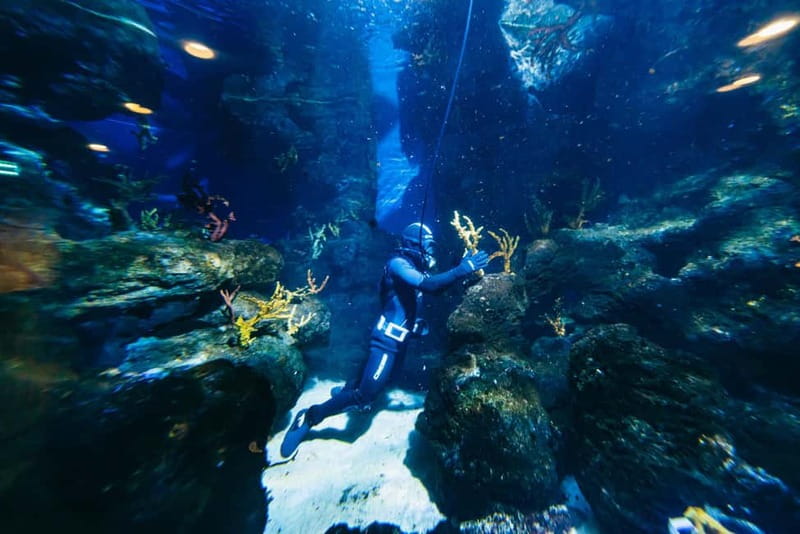 Barcelona Aquarium: Entry Ticket - A realistic 1 day plan: how to pace it without rushing