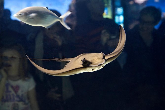 Barcelona Aquarium Skip the Line Ticket - From Mediterranean to tropics, with Antarctic penguins in the plan