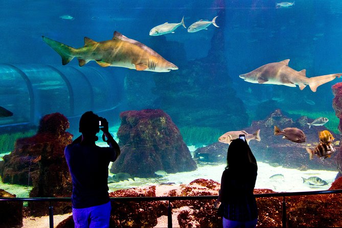 Barcelona Aquarium Skip the Line Ticket - Planeta Aqua and Explora: water learning, plus a five-senses kid zone