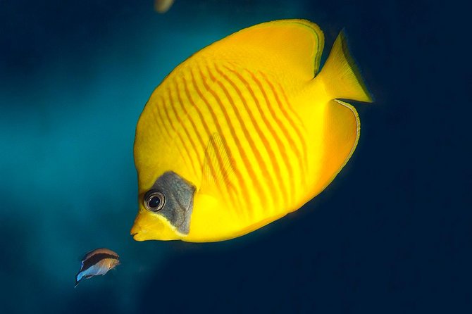 Barcelona Aquarium Skip the Line Ticket - Price and value: is the $38.44 ticket worth it?
