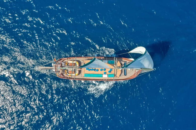 Barcelona: Boat and Supercar Driving Experience - Where to meet in Barceloneta, and why location matters