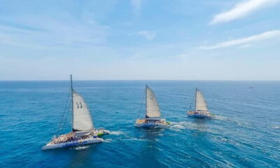 Catamaran Party Cruise with BBQ Meal