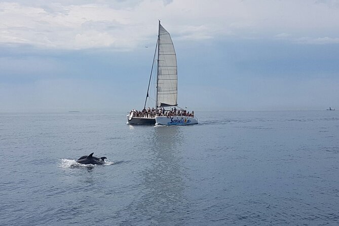 Barcelona Catamaran Party Tour For Young People - Drinks and Food: Burger Lunch vs Evening Snacks
