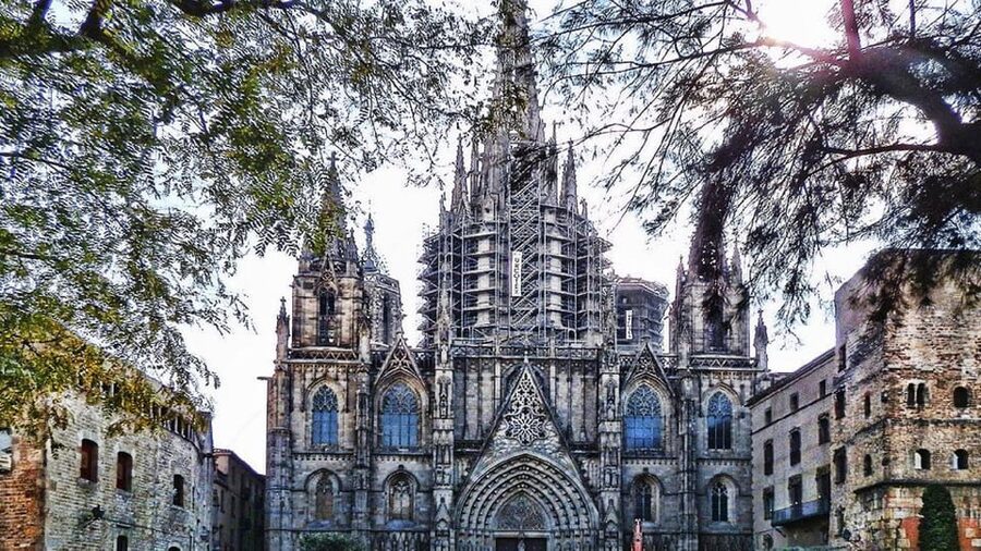 Barcelona Cathedral: Exclusive walking tour & entry tickets. - Inside the Cathedral of the Holy Cross and Saint Eulalia
