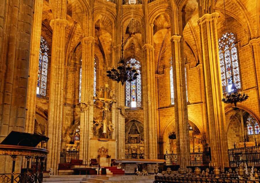 Barcelona Cathedral: Ticket, Guided Tour and VR Experience - Terraces Over Barcelona: Rooftop Views and the Stairs Question