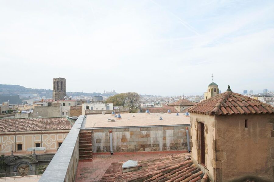 Barcelona Cathedral: Ticket, Guided Tour and VR Experience - VR Glasses for Off-Limits Areas Inside the Cloister
