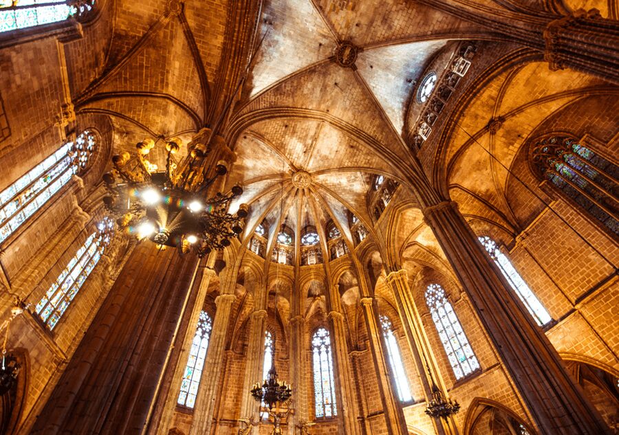 Barcelona Cathedral: Ticket, Guided Tour and VR Experience - Courtyard, Cloister, and the Meaning Behind the 13 Geese