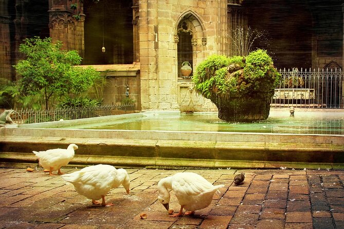Barcelona Cathedral: Ticket, Guided Tour, Terrace + VR Experience - VR Glasses Experience: Reconstructions That Give Context