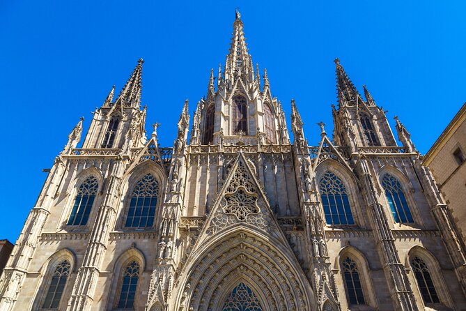 Barcelona Cathedral: Ticket, Guided Tour, Terrace + VR Experience - Entering the Cathedral Area: Where You Meet and Why It Helps