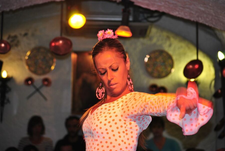 Barcelona: City Tour & Flamenco Show with Wine & Tapas - Palau Dalmases and the 1-Hour Dance Show: Where the Night Becomes Theater