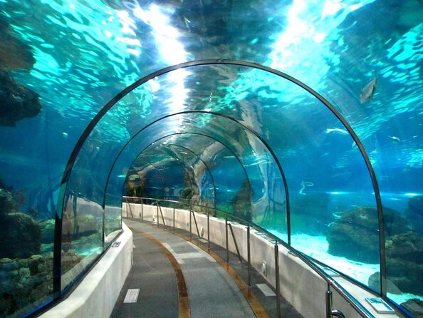 Barcelona City Tour Hop-On Hop-Off and Aquarium - Key Highlights to Know Before You Go