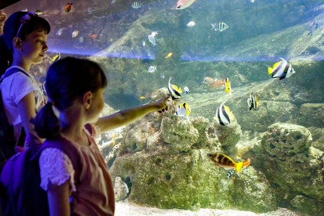 Barcelona City Tour Hop-On Hop-Off and Aquarium - The East Route (Green): Port Views, Modernism, Park Güell, and the Born