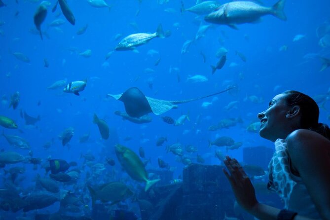 Barcelona City Tour Hop-On Hop-Off and Aquarium - Starting at Catalunya, Then Moving at Your Own Speed