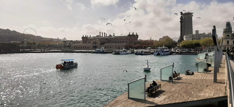 Barcelona: City Views Catamaran Cruise with Music - Key points to know before you board