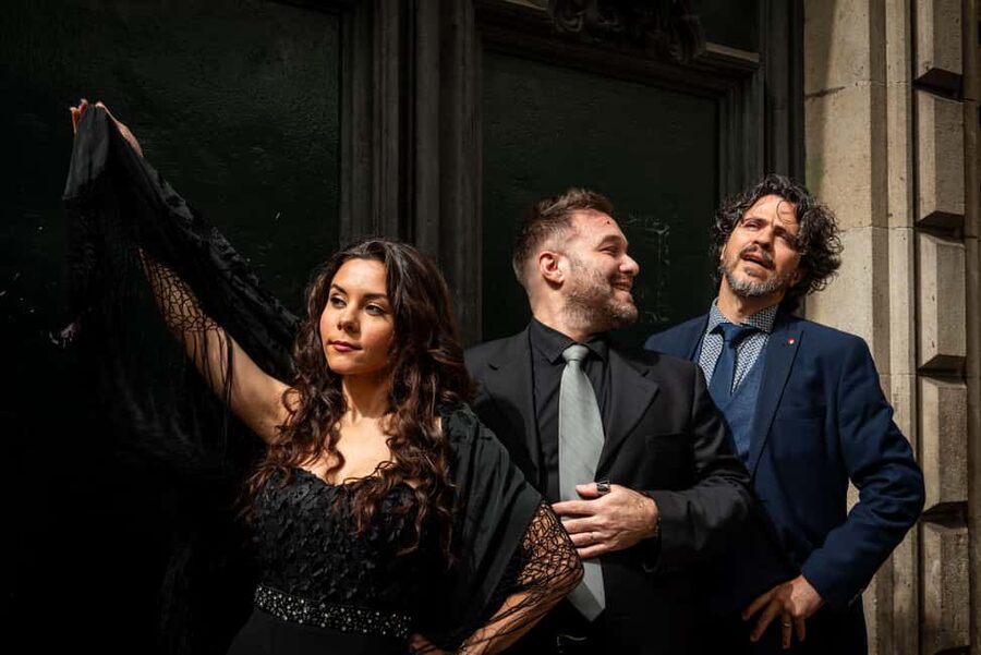 Barcelona: Concert GRAND ZARZUELA GALA - Why House-Museum Núria Pla Makes the Concert Feel Different