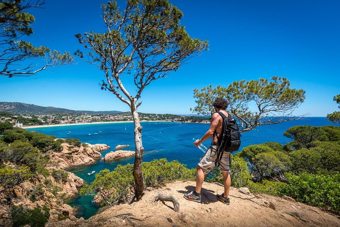 Barcelona: Costa Brava Easy Hike, Snorkel, Cliff-Jump & Meal - Why Camí de Ronda feels like the real Costa Brava