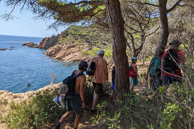 Barcelona: Costa Brava Easy Hike, Snorkel, Cliff-Jump & Meal - Snorkel in clear Mediterranean water, then keep exploring
