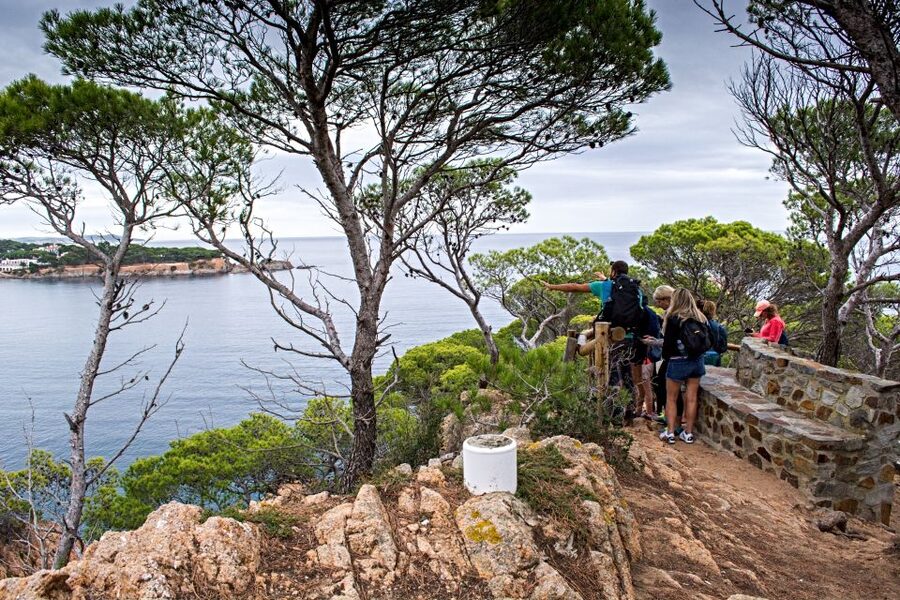 Barcelona: Costa Brava Tour with Kayak & Lagoon Snorkeling - Meeting at Pl. de Catalunya and the van ride south