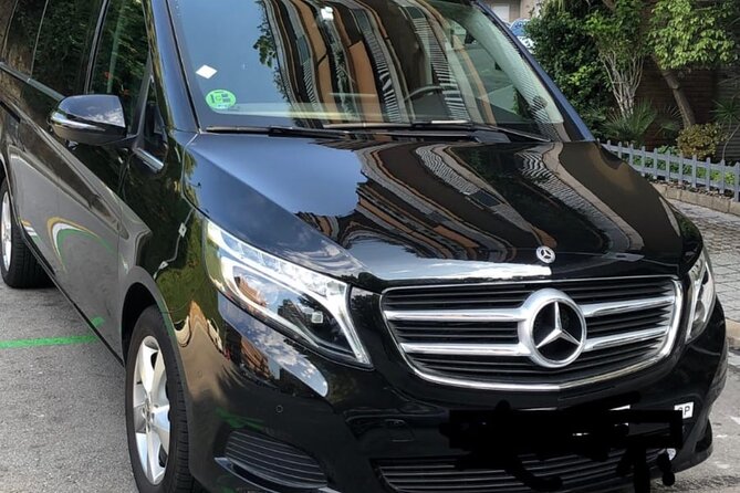 Barcelona Cruise port to barcelona city private transfer - Private Vehicle for Up to 8: Best Use Cases for Small Groups