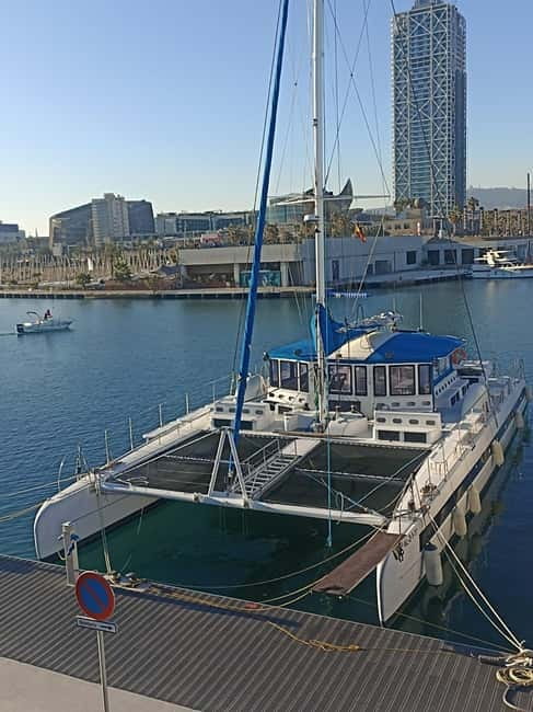 Barcelona: Daytime or Sunset Cruise with Drinks - Practical tips for choppy water and first-timers